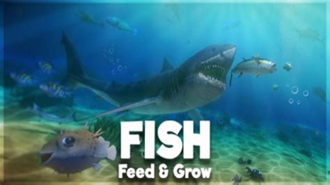 feed and grow fish|feed and grow fish jugar gratis.